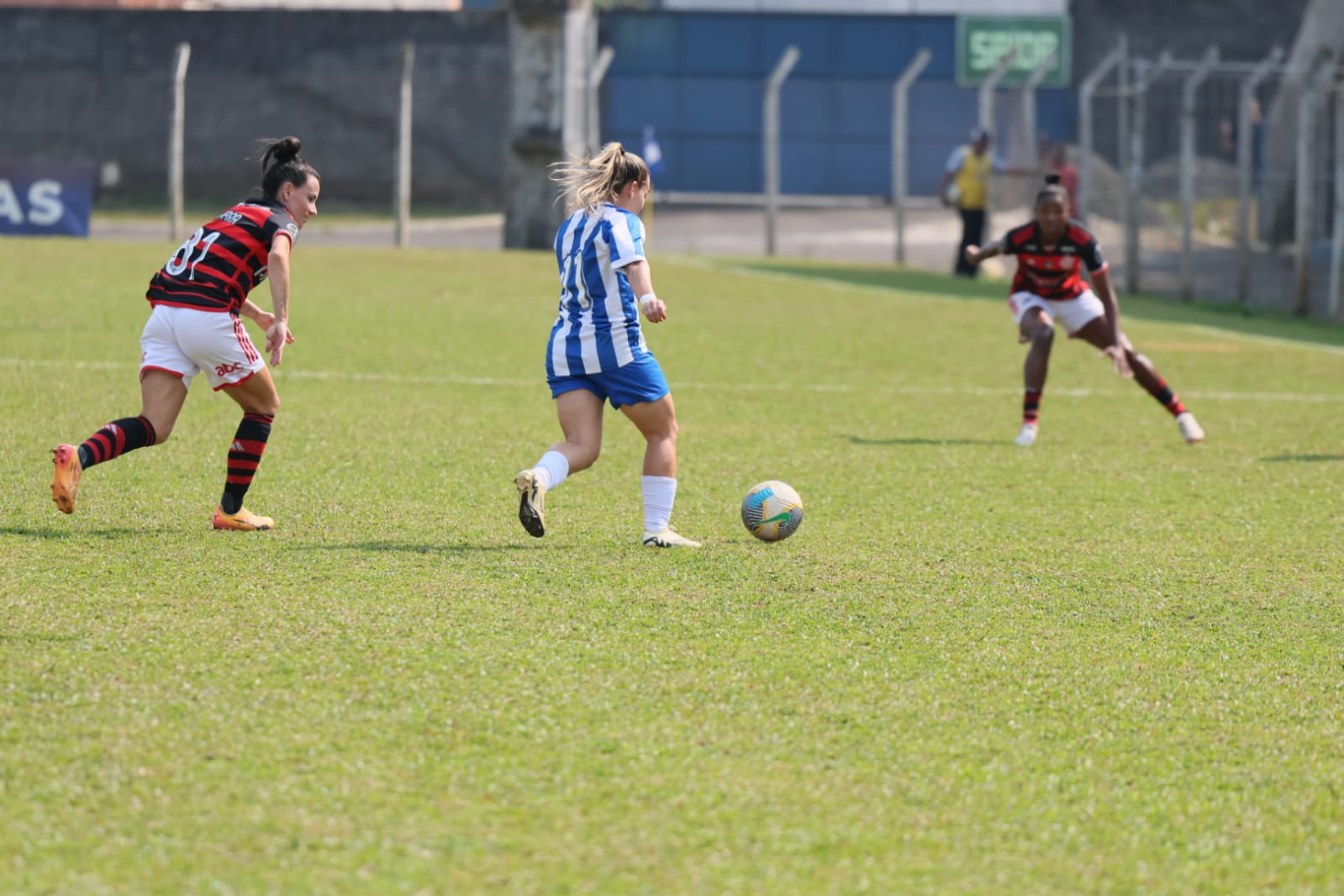 Avaí