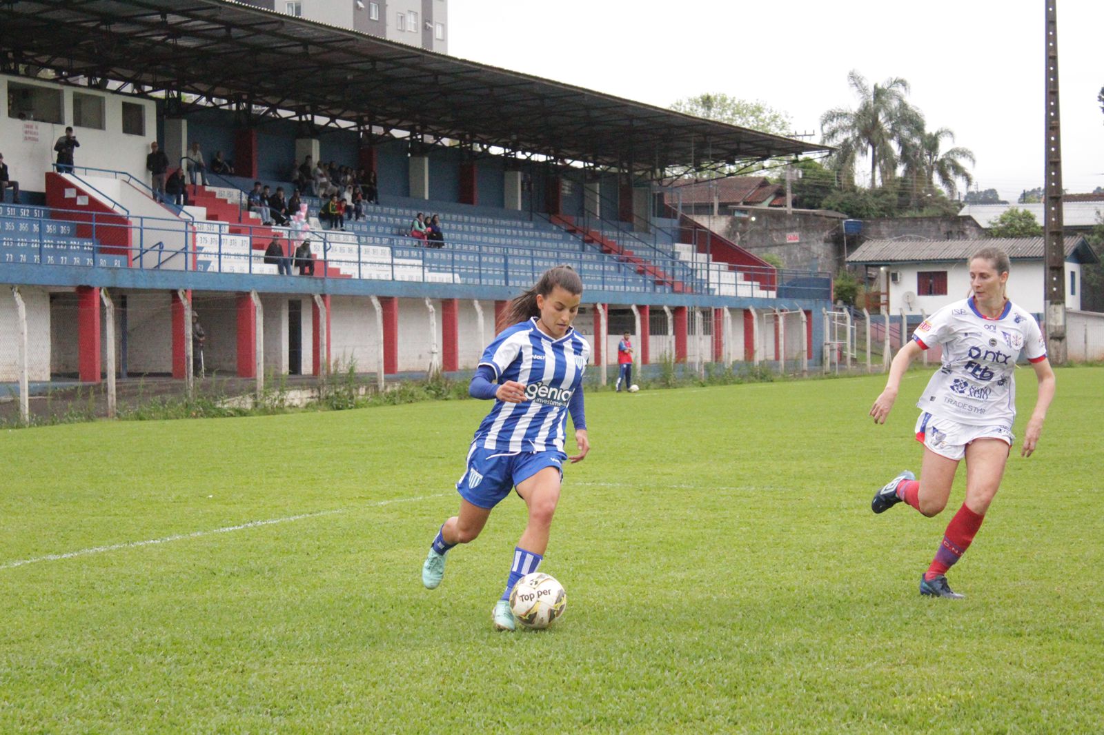 avaí