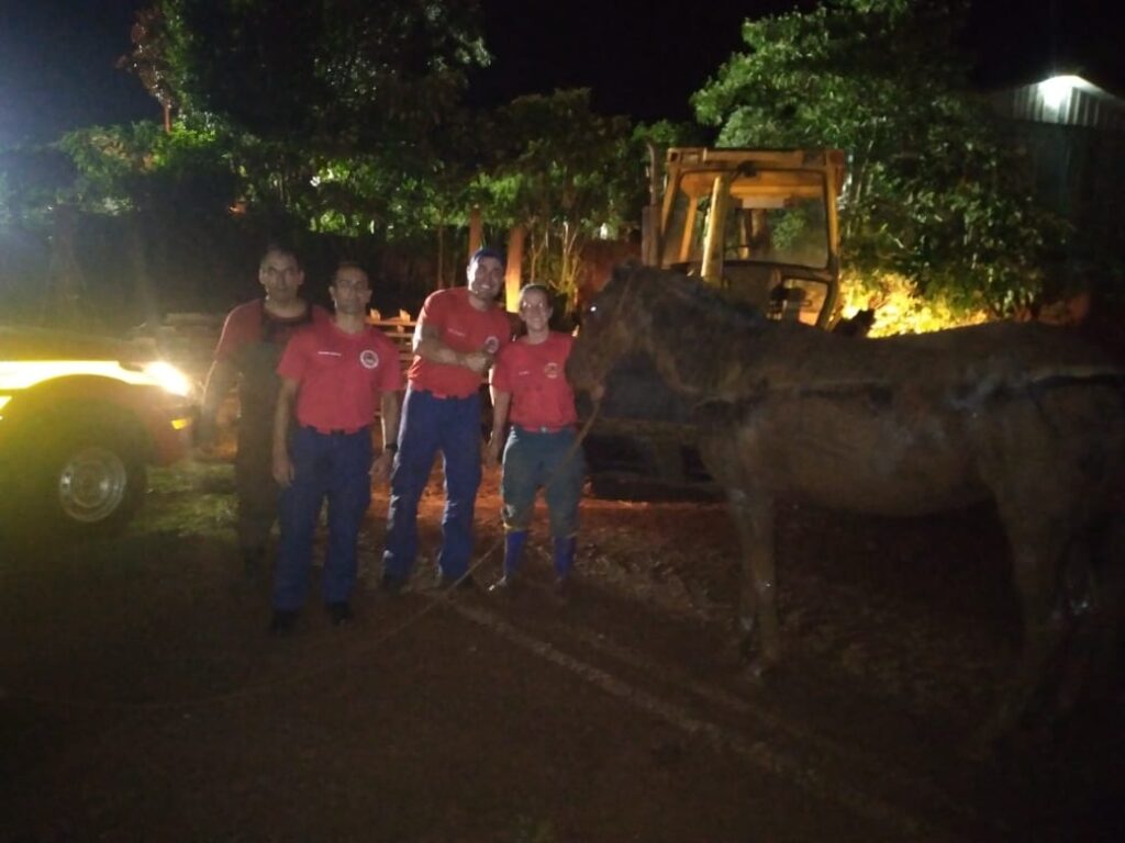 Égua