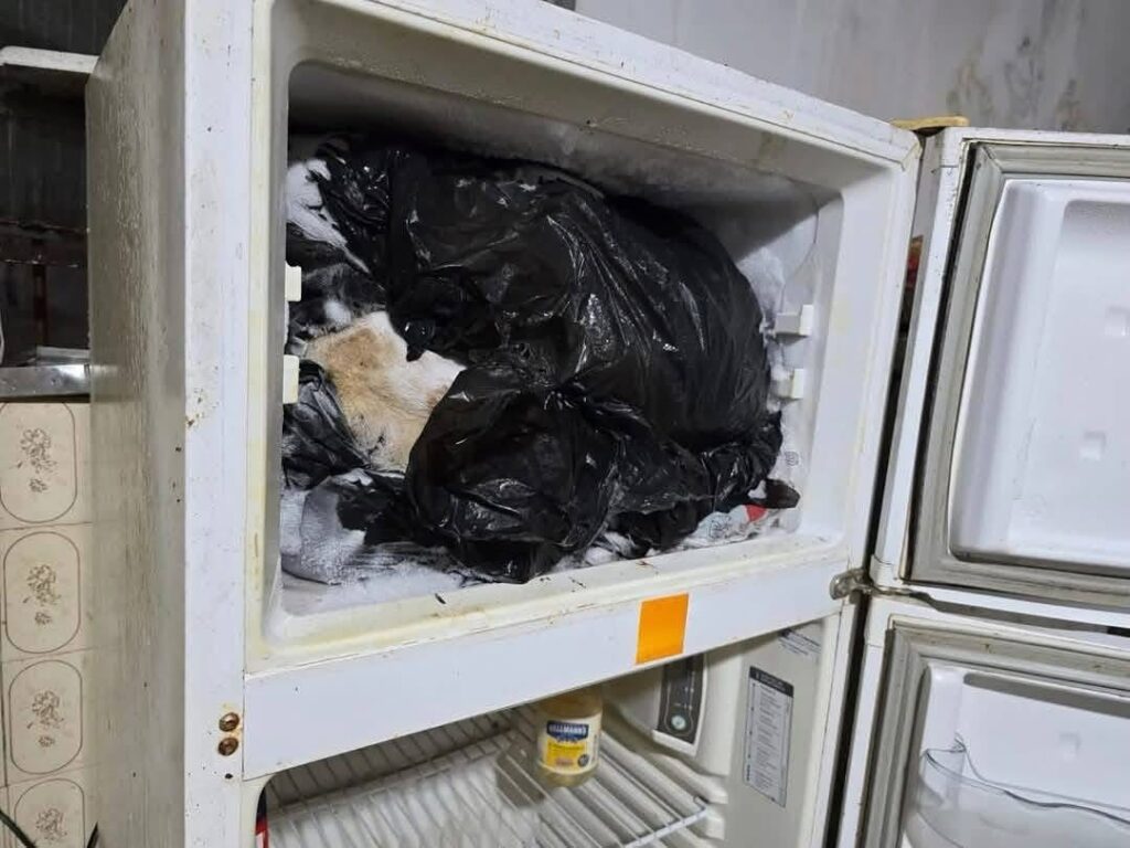 Médico
