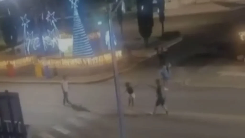 Feridos