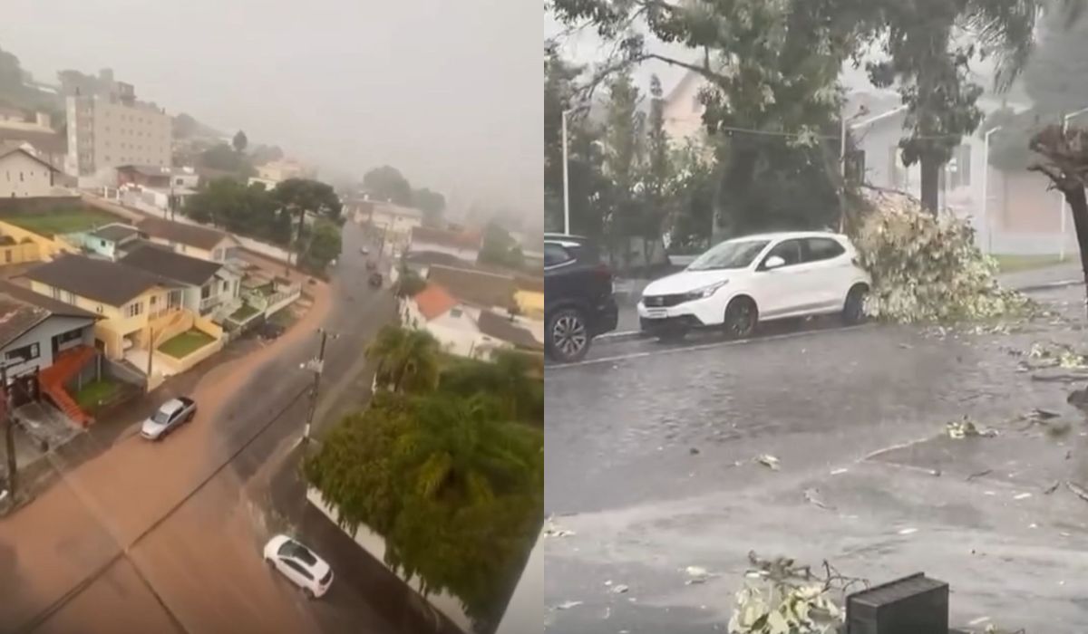 Temporal